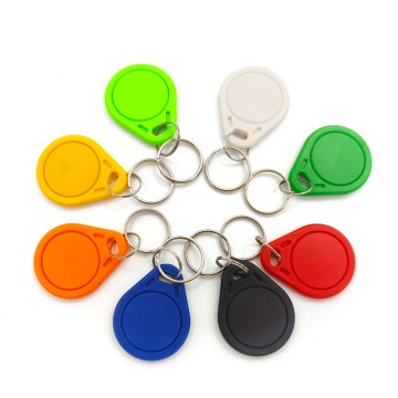 Key Chain Access Tag